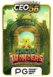 wonder by ceo56
